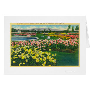 Städtischer Rosen-Garten in Santa Clara County