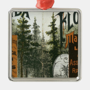 Stadtplan, Florida Silbernes Ornament