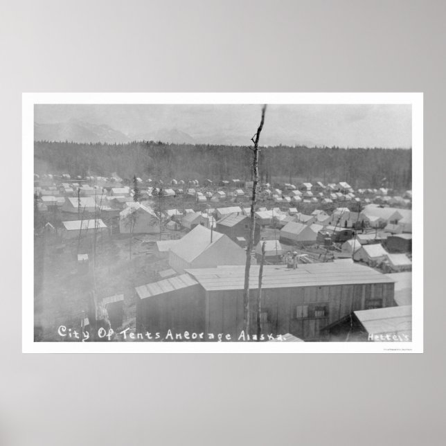 Stadtverwaltung, Alaska 1905 Poster (Vorne)