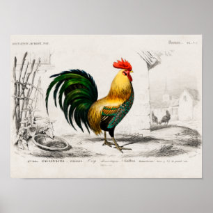 Staffelung Poster