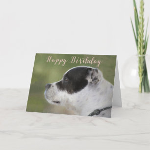 Staffie Welpen-Geburtstags-Karte Karte