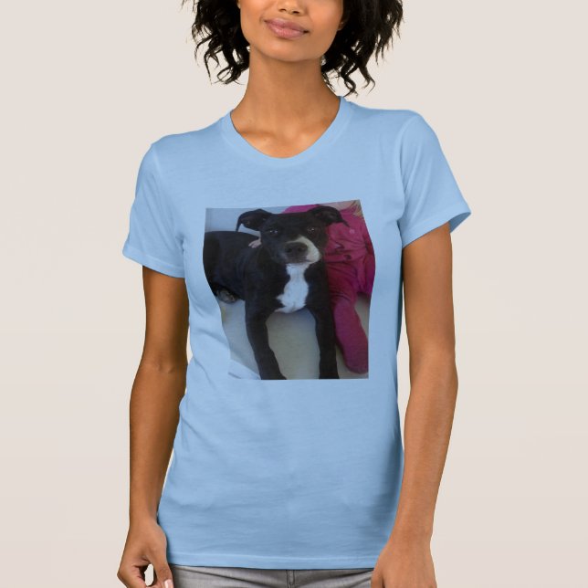 STAFFIES SIND NICHT GEFÄHRLICH T-Shirt (Vorderseite)