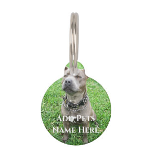 Staffordshire Bull Terrier Achtung: Haustiermarke