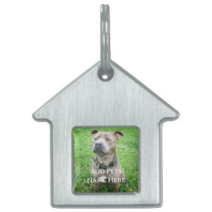 Staffordshire Bull Terrier Achtung: Tiermarke