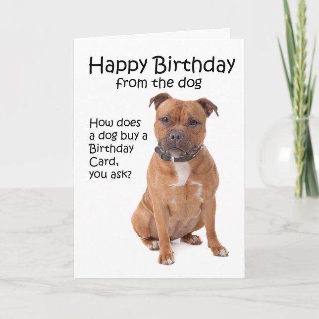 Staffordshire Bull Terrier Birthday Card Karte (Vorderseite)