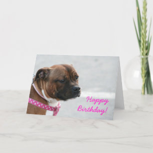 staffordshire bull terrier Carte de voeux d'annive