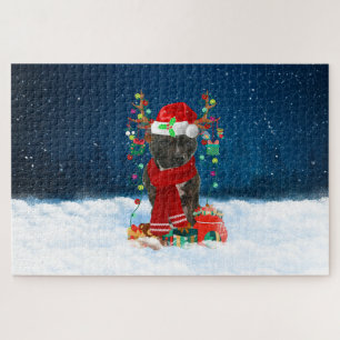Staffordshire Bull Terrier dog mit Weihnachtsgesch