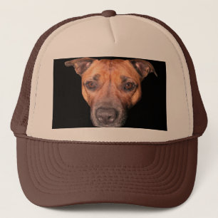 Staffordshire Bull Terrier Face, Truckerkappe