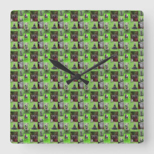 Staffordshire Bull Terrier Foto Collage, Quadratische Wanduhr