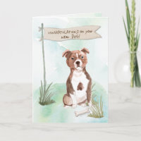 Staffordshire Bull Terrier Glückwunsch auf New Dog