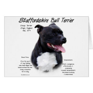 Staffordshire Bull Terrier History Design