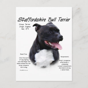 Staffordshire Bull Terrier History Design Postkarte