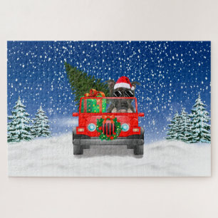 Staffordshire Bull Terrier Hund mit Weihnachtsgesc