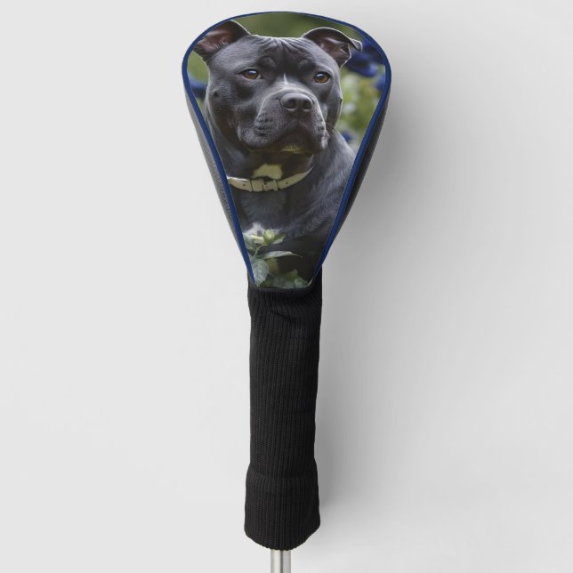 Staffordshire Bull Terrier in Blue Rose Garden, Golf Headcover (Vorderseite)
