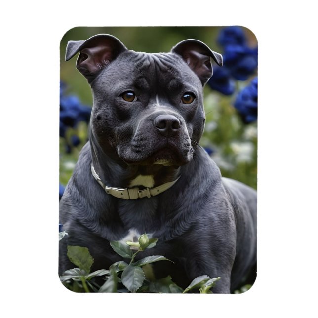 Staffordshire Bull Terrier in Blue Rose Garden, Magnet (Vertikal)