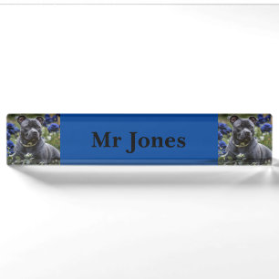 Staffordshire Bull Terrier in Blue Rose Garden, Namensplakette