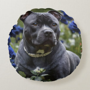 Staffordshire Bull Terrier in Blue Rose Garden, Rundes Kissen