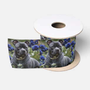 Staffordshire Bull Terrier in Blue Rose Garden, Satinband