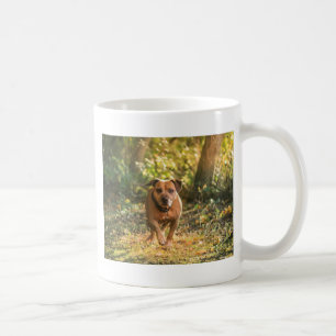 Staffordshire bull terrier kaffeetasse