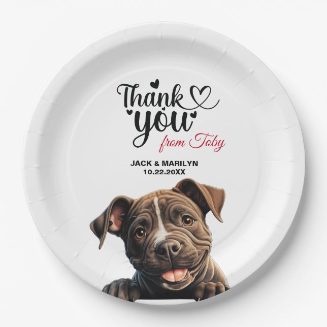 Staffordshire Bull Terrier Pappteller (Vorderseite)