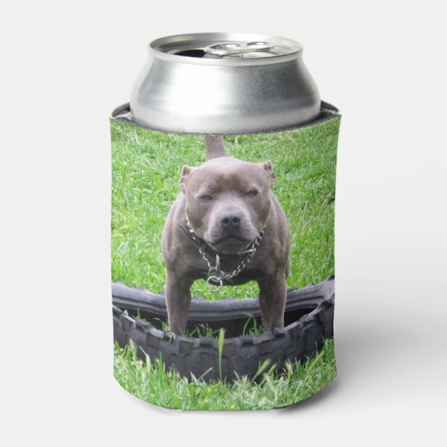 Staffordshire Bull Terrier, Play Time Dosenkühler (Kanne Vorderseite)