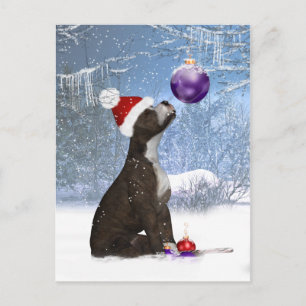 Staffordshire Bull Terrier Puppy - Carte postale h