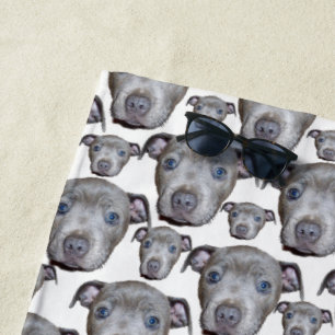 Staffordshire Bull Terrier Puppy Faces, Strandtuch