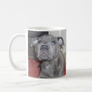 Staffordshire Bull Terrier Puppy Sooky Face, Kaffeetasse