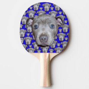 Staffordshire Bull Terrier Puppy, Tischtennis Schläger