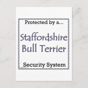 Staffordshire Bull Terrier Security System Postkarte