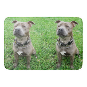 Staffordshire Bull Terrier Sitting At Achtung, Badematte