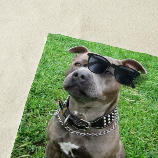 Staffordshire Bull Terrier Sitting At Achtung, Strandtuch (Beispiel)