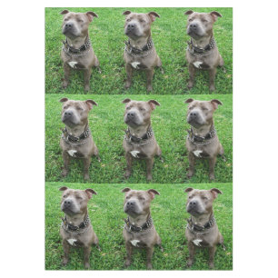 Staffordshire Bull Terrier Sitting At Achtung, Tischdecke