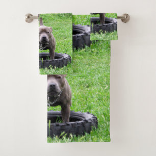Staffordshire Bull Terrier Temps De Jouer,