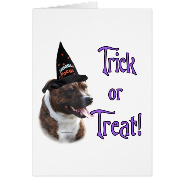 Staffordshire Bull Terrier Trick (Devant)