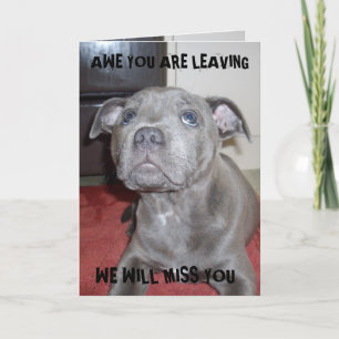 Staffordshire Bull Terrier Welpe, Bonvoyage Karte