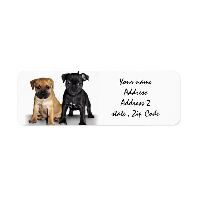 Staffordshire Bull Terrier Welpen adressieren Etik (Vorne)