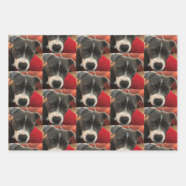 Staffordshire Bull Terrier Wrapping Paper Geschenkpapier Set