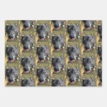 Staffordshire Bull Terrier Wrapping Paper