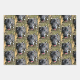 Staffordshire Bull Terrier Wrapping Paper Geschenkpapier Set
