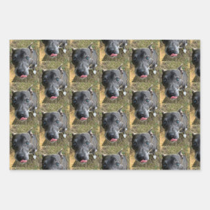 Staffordshire Bull Terrier Wrapping Paper Geschenkpapier Set