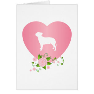 Staffordshire-Bullterrier