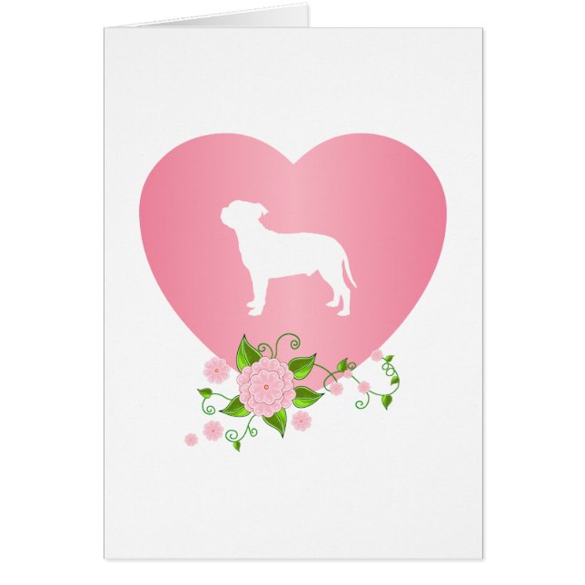 Staffordshire-Bullterrier (Vorne)