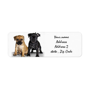 Staffordshire-Bullterrierwelpen-Adressen-Etiketten