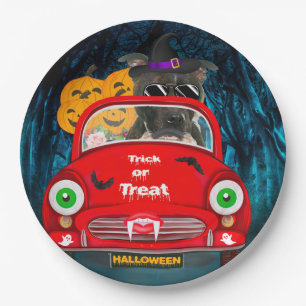 Staffordshire Dog Driving Car Beängstigend Hallowe Pappteller