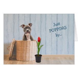 Staffordshire Dog Wicker Basket Geburtstagskarte