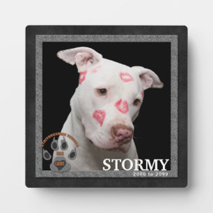 Staffordshire Terrier Dog Breed Memorial Fotoplatte