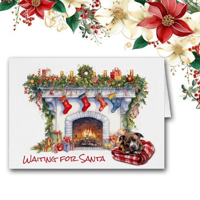 Staffordshire Terrier Dog Warten Sie auf Santa (Von Creator hochgeladen)