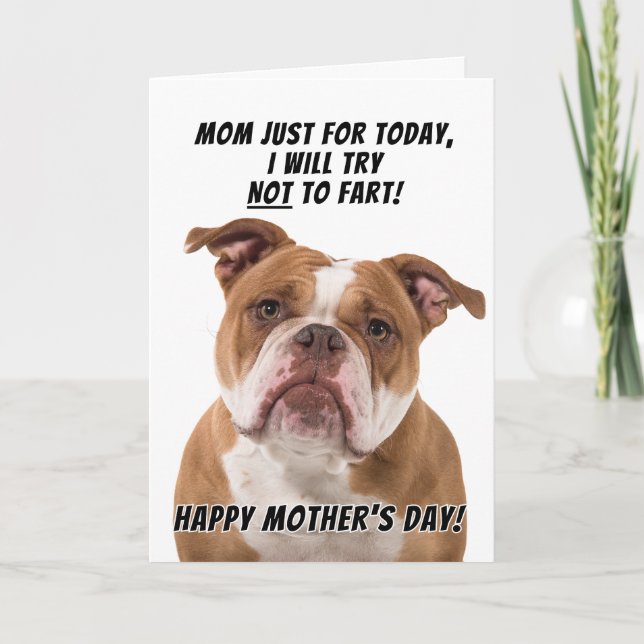 Staffordshire Terrier Grußkarte Muttertag Dankeskarte (Vorderseite)