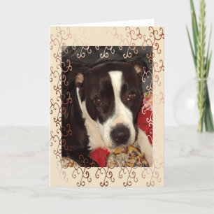 Staffordshire-Terrier-Leerzeichen Karte